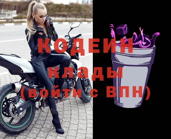 шишки Абаза