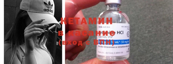 шишки Абаза