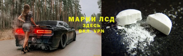 шишки Абаза